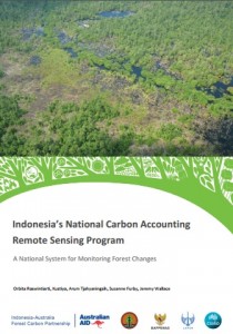 Indonesia National Carbon